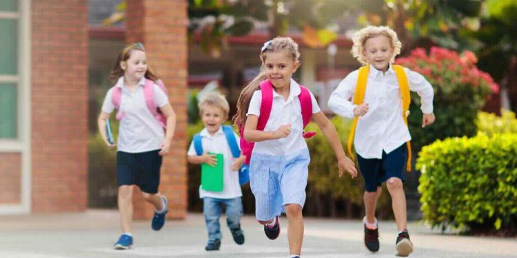 Vacanze estive scuola