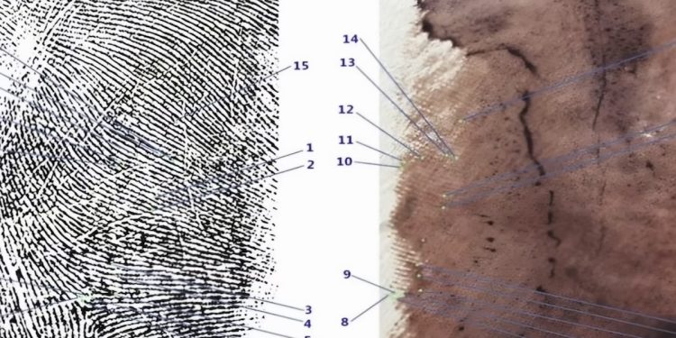 I punti di compatibilità tra l'impronta 33 e quella di Sempio (Foto: web)