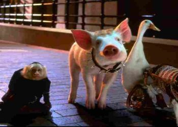 Babe va in città, il film nel pomeriggio di Rete 4 (Foto Web)