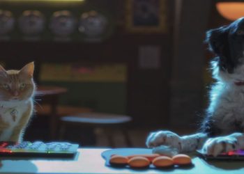 Cani e gatti 3: Zampe Unite, il film nel pomeriggio di Italia 1 (Foto Web)