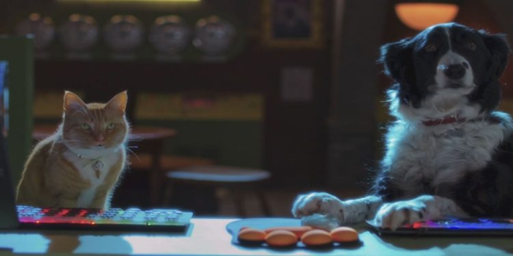 Cani e gatti 3: Zampe Unite, il film nel pomeriggio di Italia 1 (Foto Web)