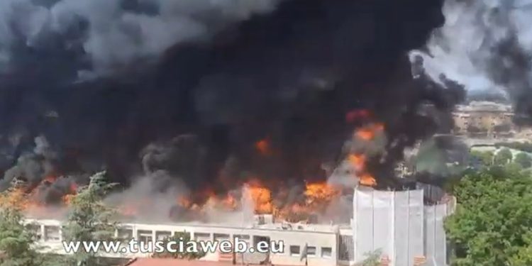 Incendio università di Viterbo (Foto: Youtube)