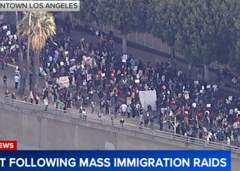 Proteste a Los Angeles, 2025 (Foto ABC)