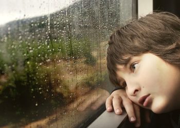 Image by Shlomaster from Pixabay