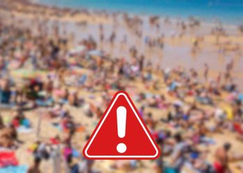 vermi di fuoco ritrovamento