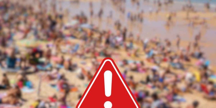 vermi di fuoco ritrovamento