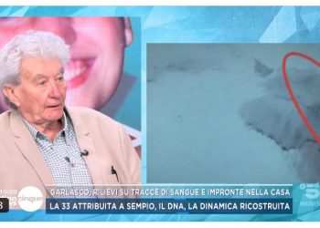 Delitto di Garlasco, avvocato Lovati (Foto: Mattino 5 News)