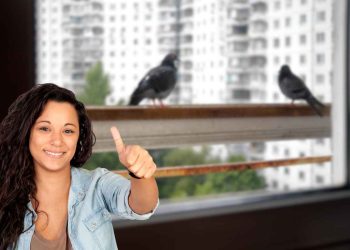 come allontanare piccioni dai balconi