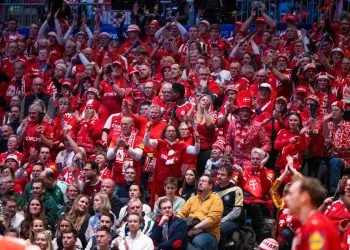 I tifosi della Danimarca (Foto ANSA)