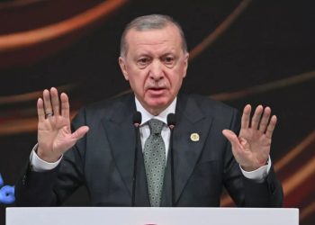 Erdogan (Foto: Euronews)