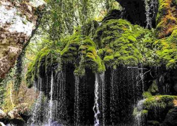 cascate capelli di venere cilento