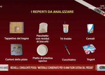 Garlasco: i reperti contenuti nella spazzatura di casa Poggi