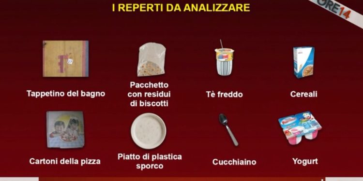 Garlasco: i reperti contenuti nella spazzatura di casa Poggi