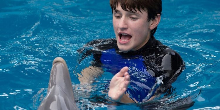 L’incredibile storia di Winter il delfino 2, film nel pomeriggio di Rete 4 (Foto Web)