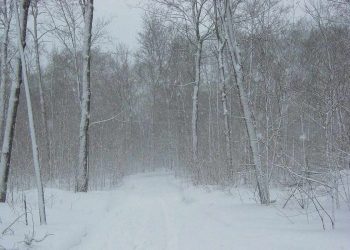 Neve (Foto: Pixabay)