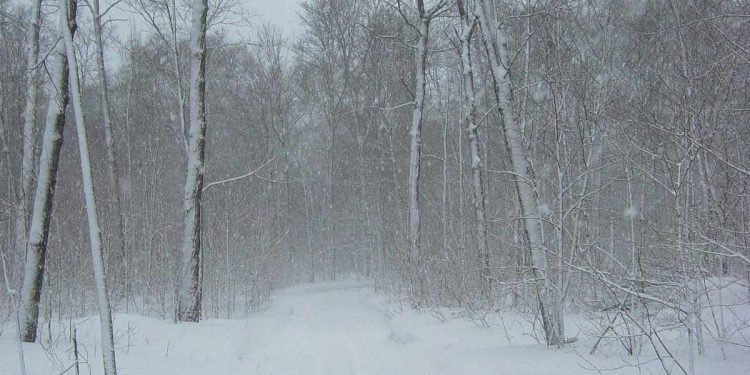 Neve (Foto: Pixabay)