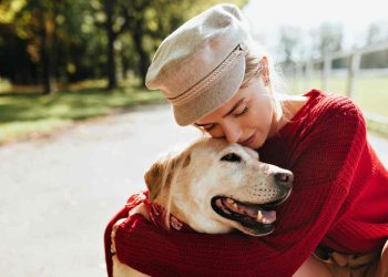 pratica crudele contro i cani