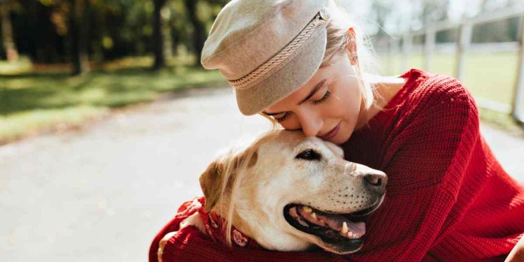 pratica crudele contro i cani