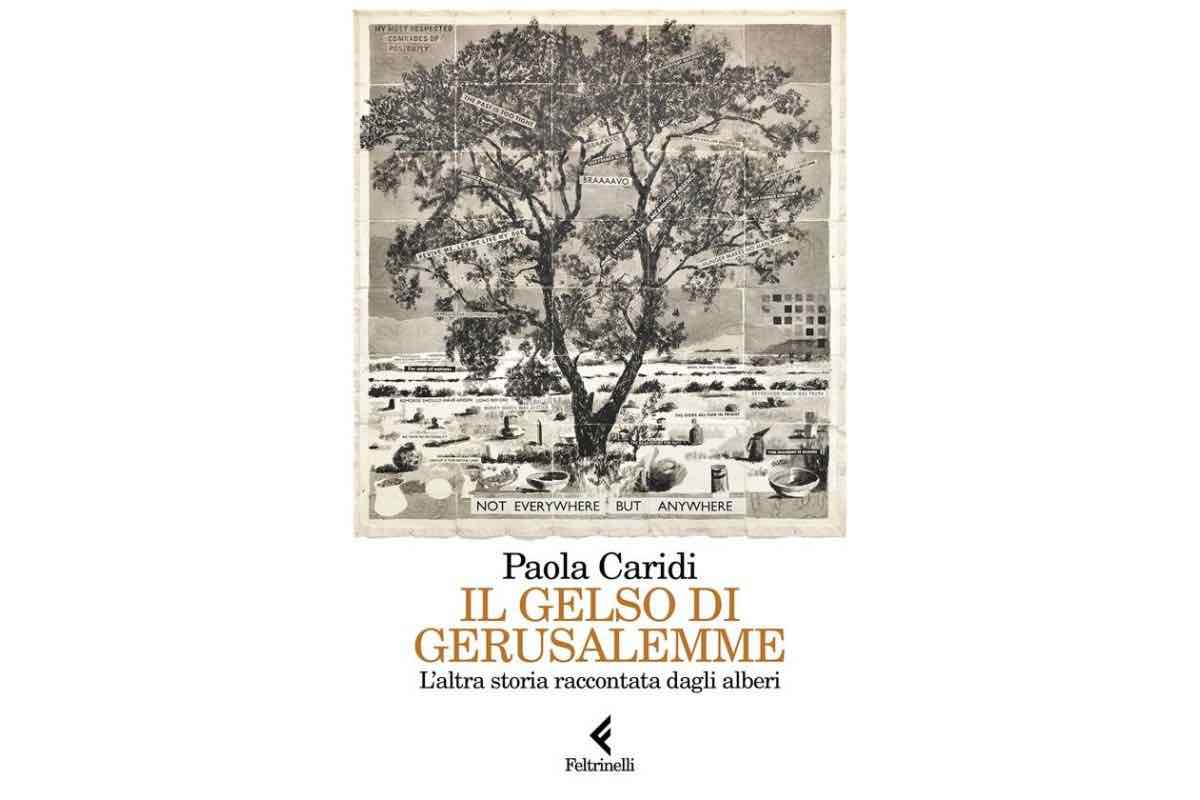 paola caridi intervista