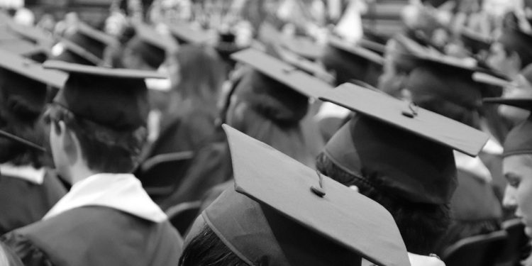 Laurea (Foto: Pixabay)