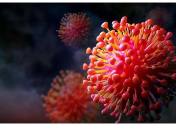 Covid nuova variante