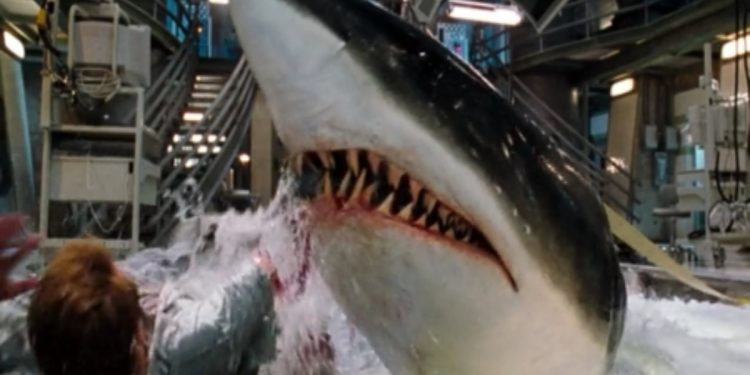 Blu profondo, il film in seconda serata su Italia 1 (Foto Web)