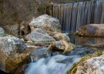 bosco incantato in campania