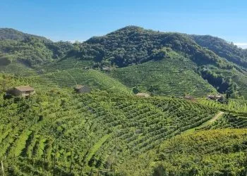 Le colline di Valdobbiadene (Pixabay)