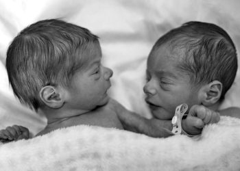 Neonati gemelli (Foto: Pexels)