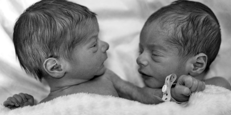Neonati gemelli (Foto: Pexels)