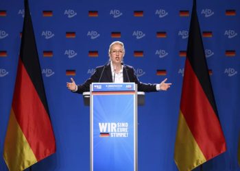 AfD (foto: Euronews)