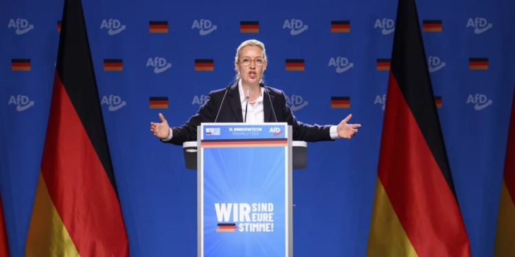 AfD (foto: Euronews)