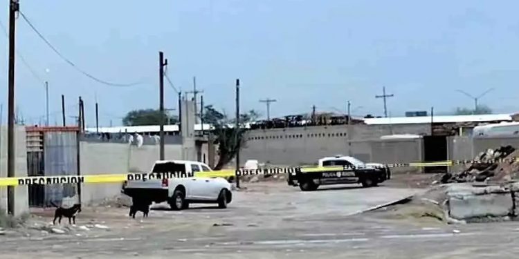 Crematorio Ciudad Juarez (Foto: N+)