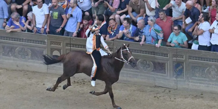 La Lupa, vincitrice dell'ultimo Palio di Siena (Foto ANSA)