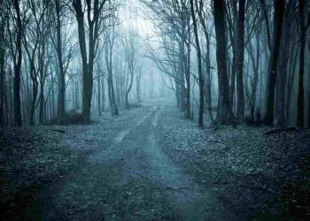 Foreste spaventose in Italia