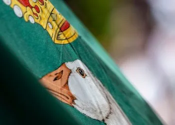 L'Oca ha vinto il Palio di Siena del 3 luglio 2025 (Foto ANSA)