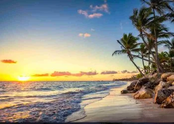 in questa spiaggia puoi nuotare con loro