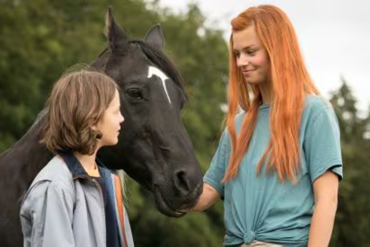 Windstorm 3 - Ritorno alle origini