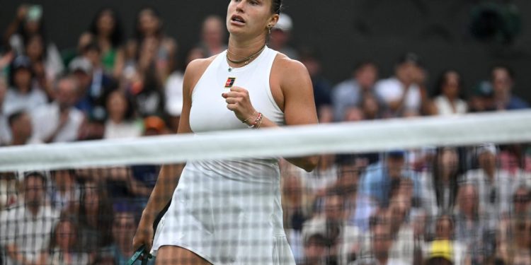 Aryna Sabalenka vola a Wimbledon (Foto ANSA)