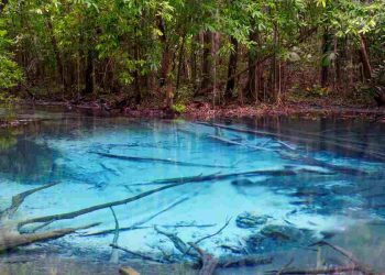 Piscina Naturale dove si trova