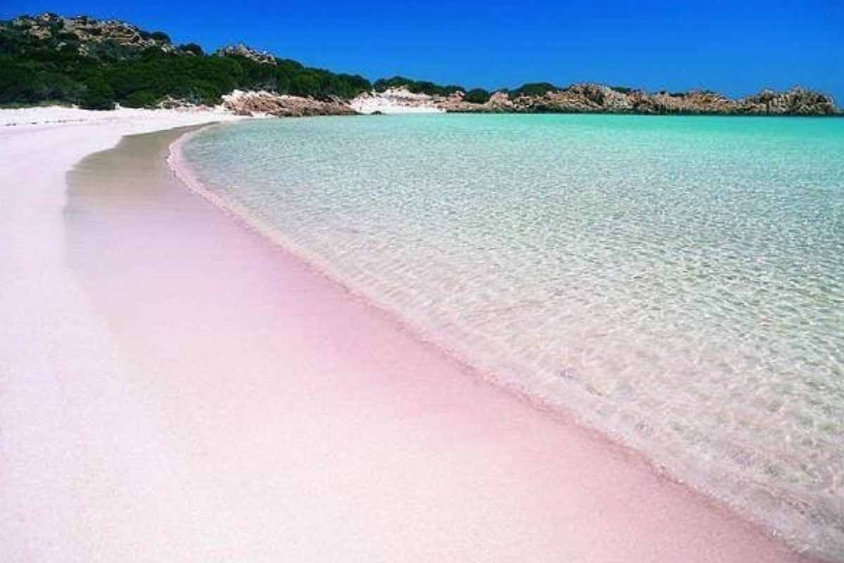 spiagge rosa mondo