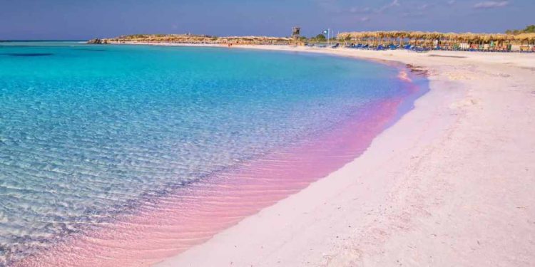 spiagge rosa più belle
