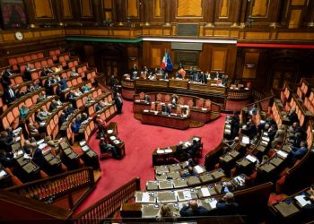 L'aula del Senato (Ansa)