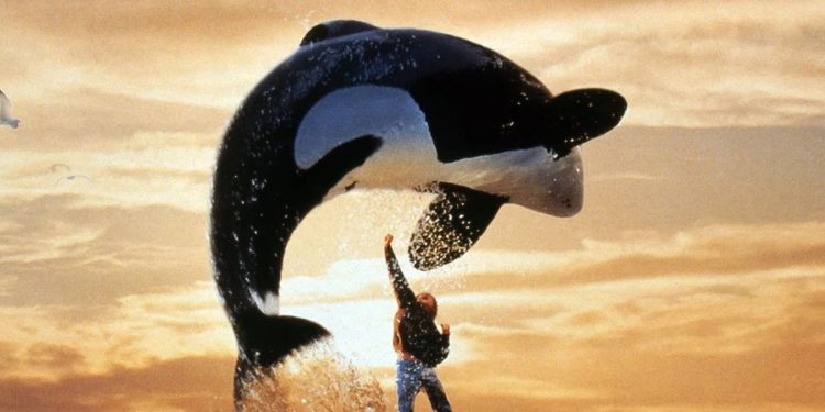 Free Willy