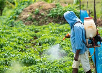 Fertilizzanti (Foto: Pexels)