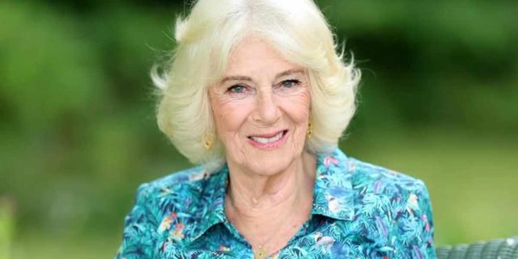 Camilla regalo di compleanno