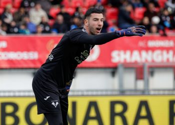 Lorenzo Montipò del Verona dà indicazioni ai compagni contro il Monza (Foto Ansa)