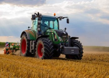 Foto di Jannis Knorr (Pexels)