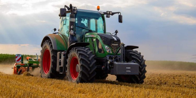 Foto di Jannis Knorr (Pexels)