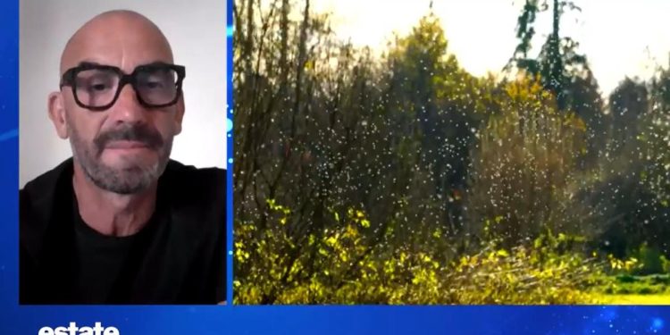 Bassetti, virus West Nile